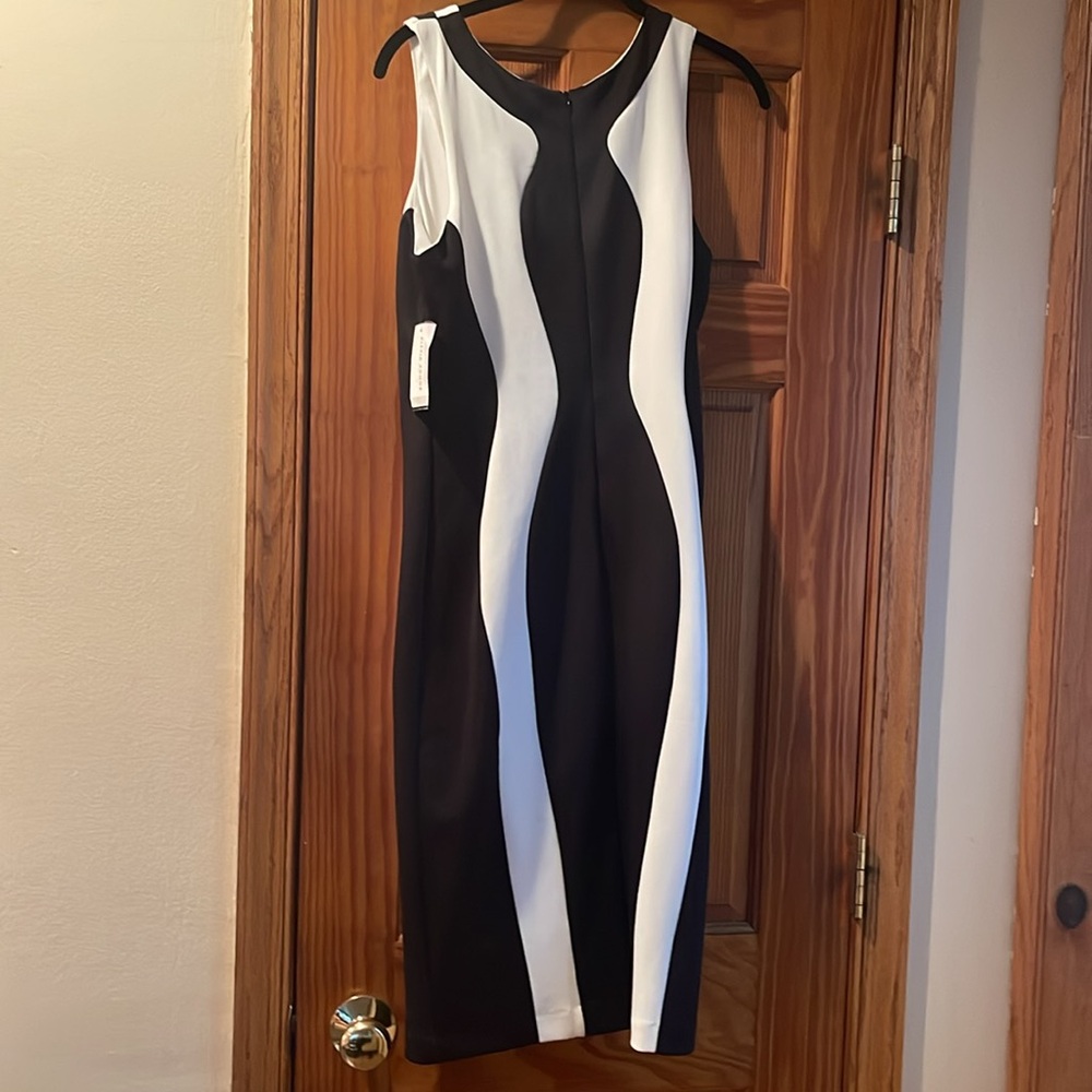 Alexia Admor dress size M, NWT - Picture 2 of 7